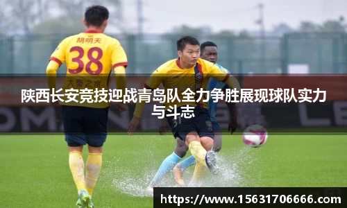 米兰体育官网