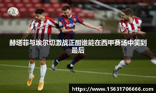 米兰体育app